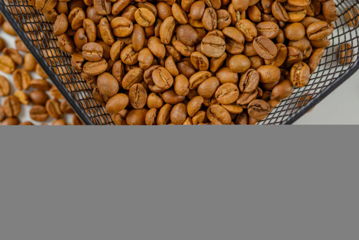 Light brown coffee beans in a metal mesh tray, viewed from above, with part of the tray out of frame. | Hustle Coffee