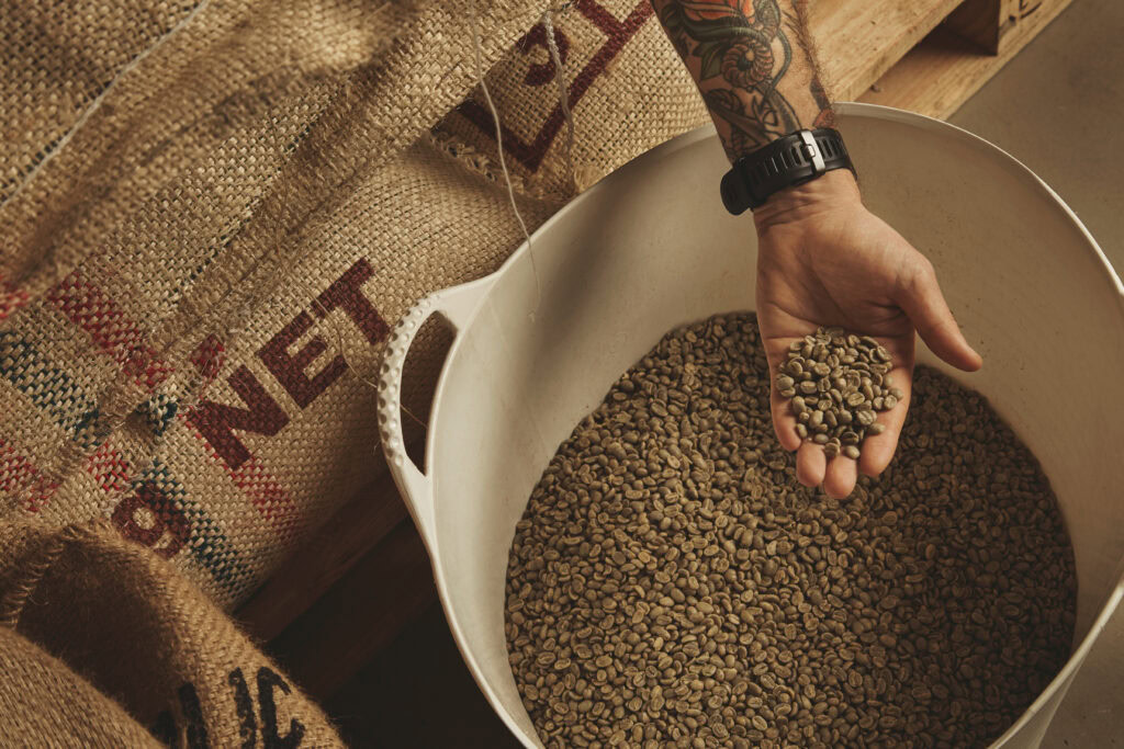 A tattooed person holds raw green coffee beans over a large white container filled with more beans beside burlap sacks. | Hustle Coffee
