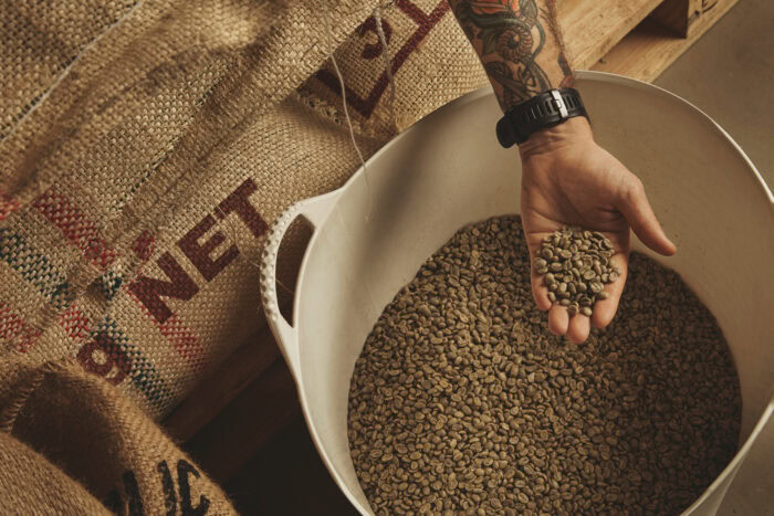 A tattooed person holds raw green coffee beans over a large white container filled with more beans beside burlap sacks. | Hustle Coffee