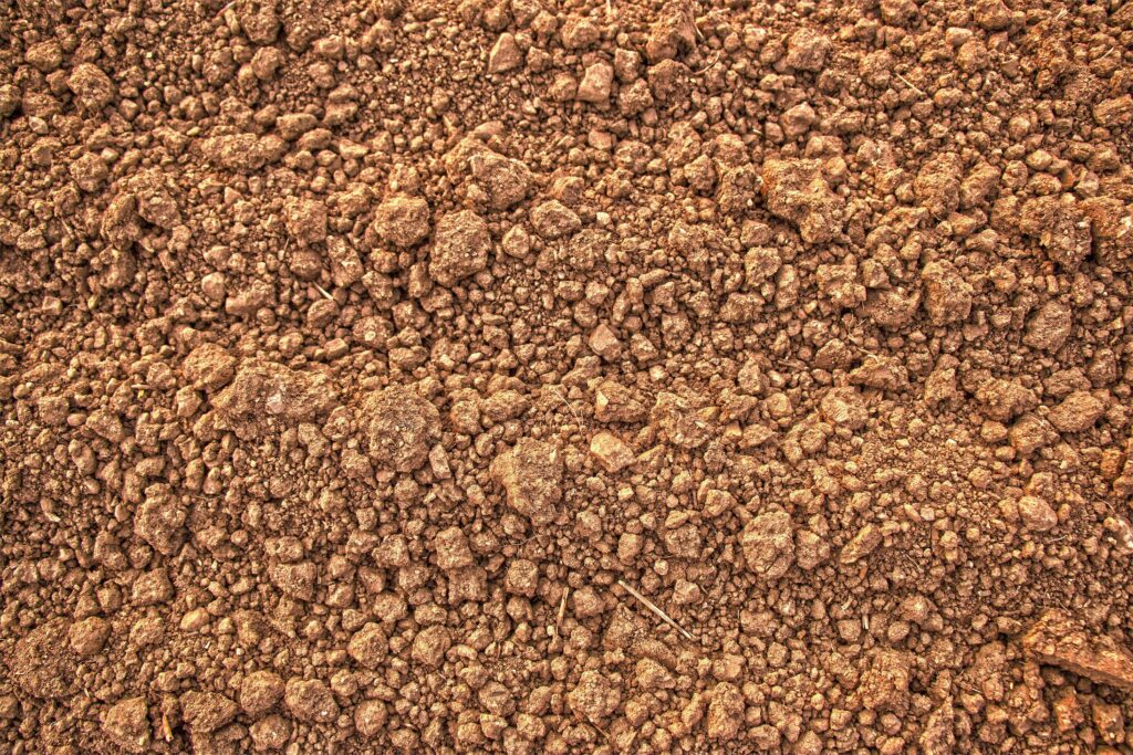 Brown dry soil with small rocks and clumps, showing a rough, uneven texture in natural outdoor light. | Hustle Coffee