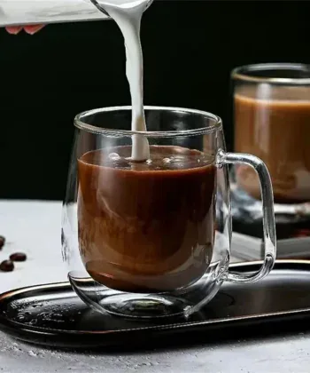 Double Wall Glass Coffee Mug with Handle